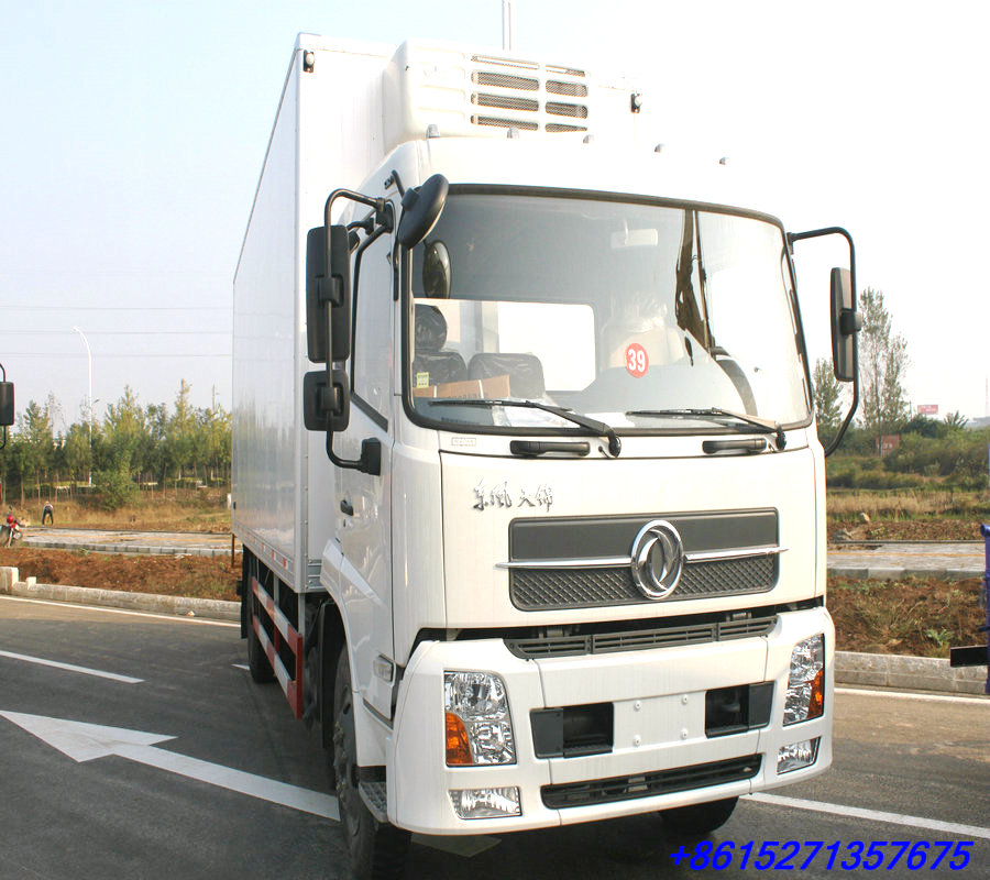 Dongfeng 8T Refrigerator Freezer Truck 4*2