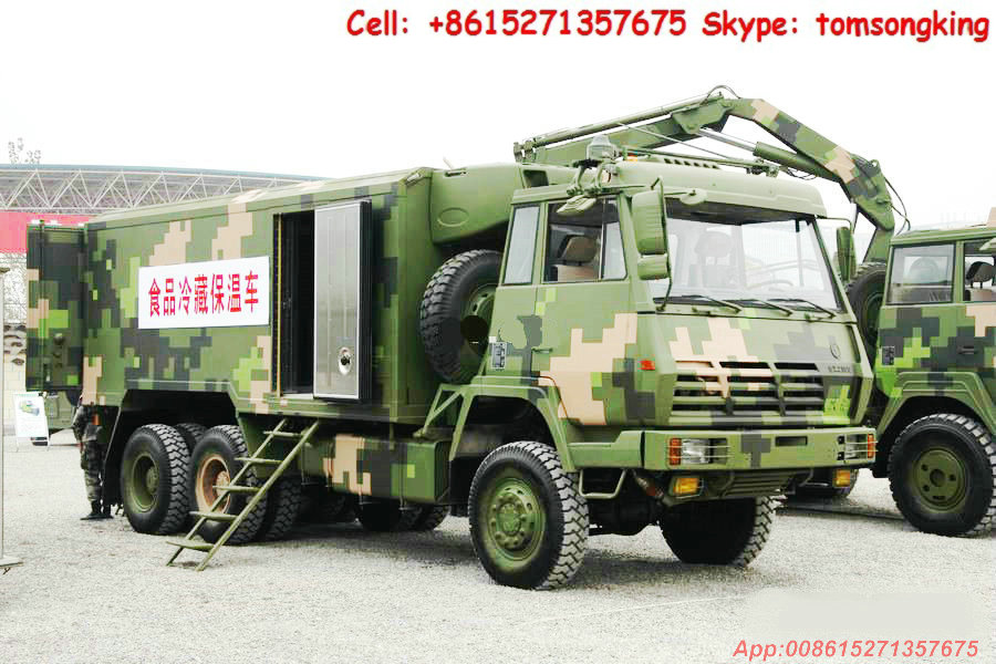Steyr Food refrigerated truck 6x6、6x4 Freezer Truck 20~30T <Customization RHD>